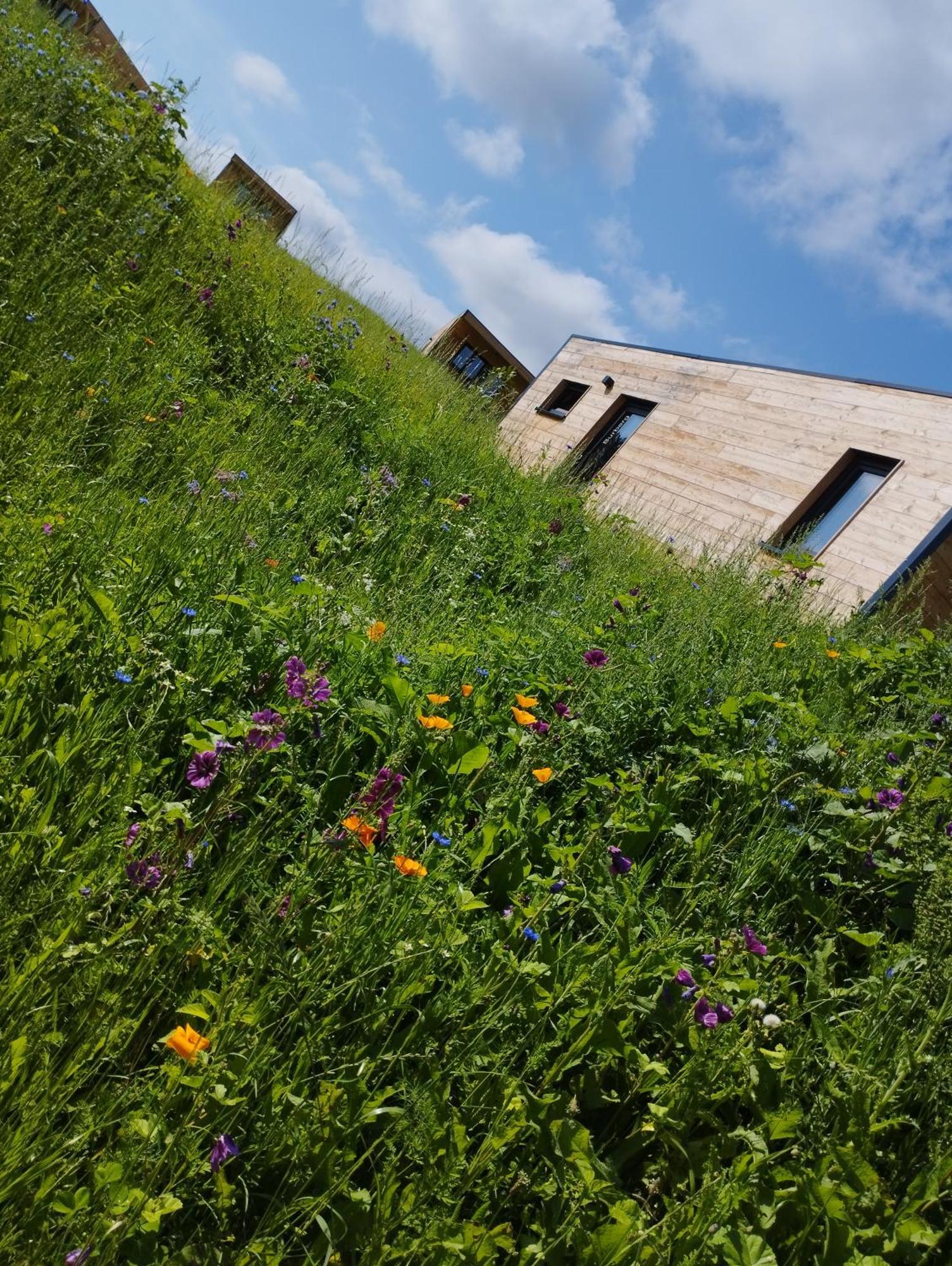 Hemfurth-Edersee Ferienresort Edersee Gmbh מראה חיצוני תמונה